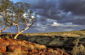illustrative landscape image.